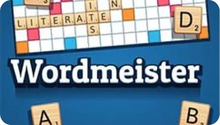 Word Meister